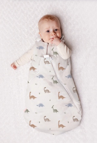 Śpiworek niemowlęcy NIKO / 0-6 / 2.5 TOG / dinozaury