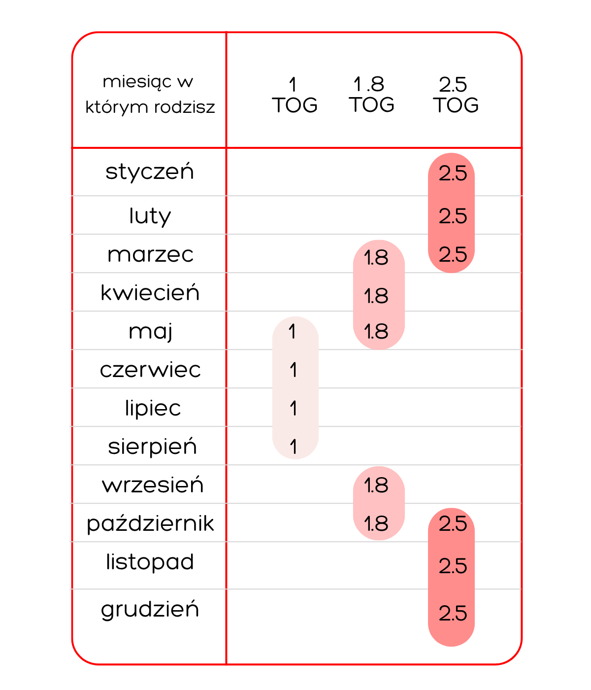 Jaki-TOG-wybrac.png